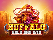 Buffalo Hold and Win